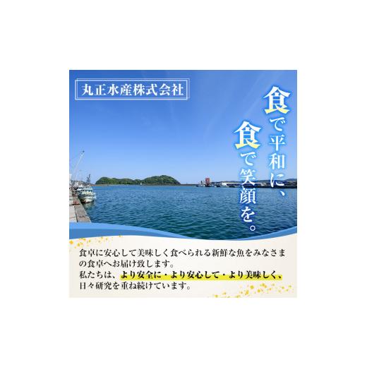 ふるさと納税 宮崎県 門川町 コロコロすり身(計1.26kg・14g×10個×9袋)