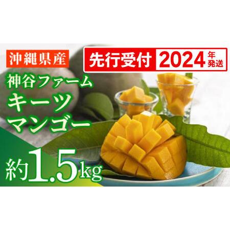 ふるさと納税 神谷ファームのキーツマンゴー 約1.5kg 沖縄県八重瀬町