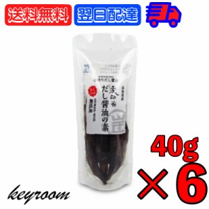 だしが良く出る宗田節 だし醤油の素 40g 6個 宗田節  詰め替え用 詰め替え つめかえ だしが良く出る だし だし醤油 出汁醤油 醤油 しょう