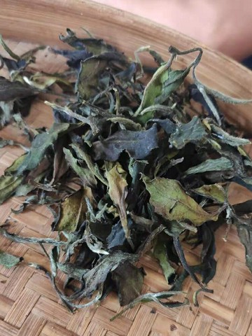 掌柜推薦 荒野白茶體驗裝 白牡丹一級 壽眉特級 花香茶葉散茶