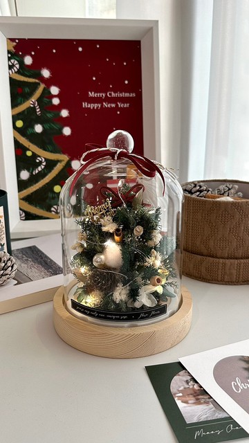 Flora Flower聖誕節-雪松夜燈