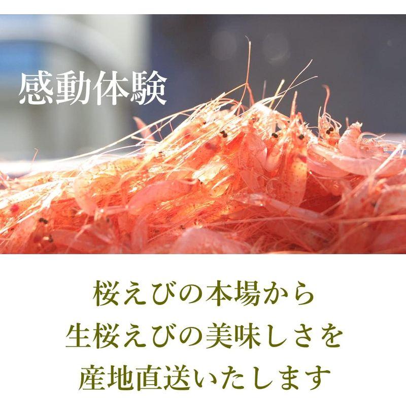 食品 兼上 生桜えび 100g×5袋セット 駿河湾産 由比 静岡 冷凍 さくらえび サクラエビ カネジョウ