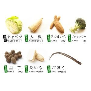 旬の野菜　こだわり野菜セット 無農薬　低農薬　7品目野菜セット　少人数　お試し向け　送料込 旬 ギフト 贈り物 プレゼント お取り寄せ お中元 お歳暮