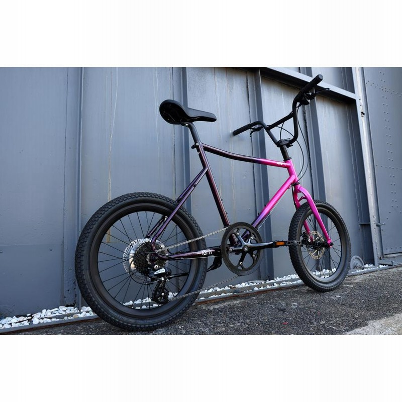 EIZER ミニベロ 軽量 20インチ 自転車 小径車 8段変速