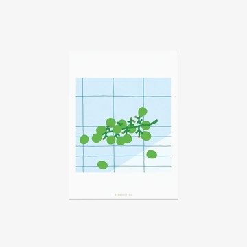 韓國 WARMGREY TAIL 插畫明信片 15顆綠葡萄