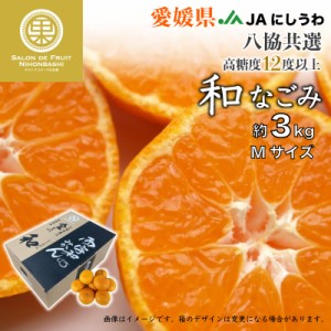 [予約 2023年 11月15日-12月25日の納品] 和 なごみ 約3kg M 愛媛県産 JAにしうわ 八協共選 JA西宇和 みかん 冬ギフト お歳暮 御歳暮