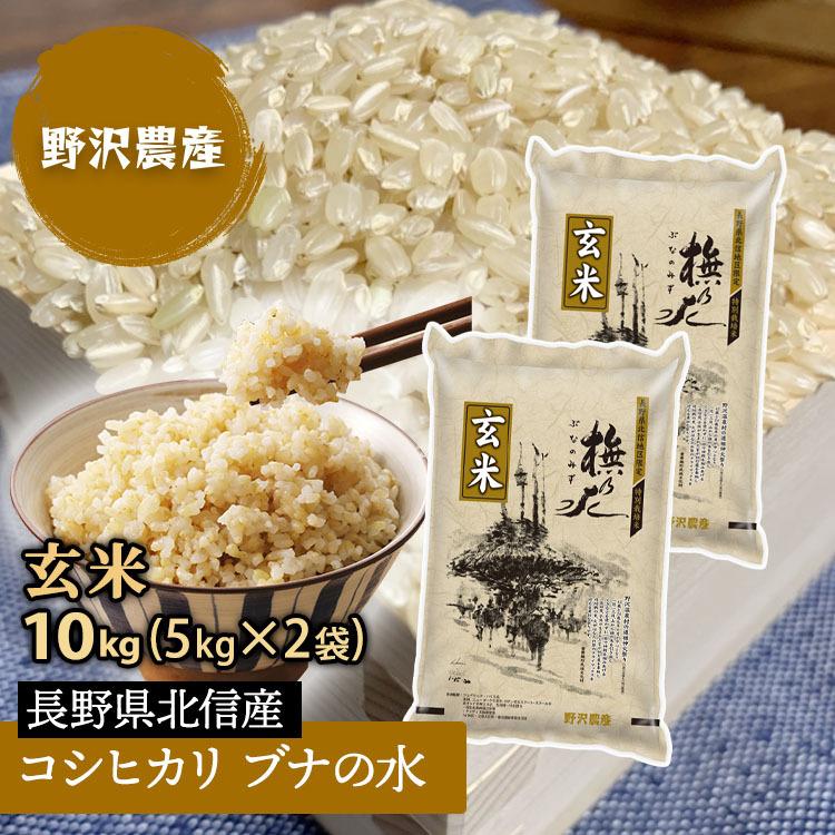 新米 令和5年産 玄米 10kg 送料無料 米 お米 コシヒカリ こしひかり