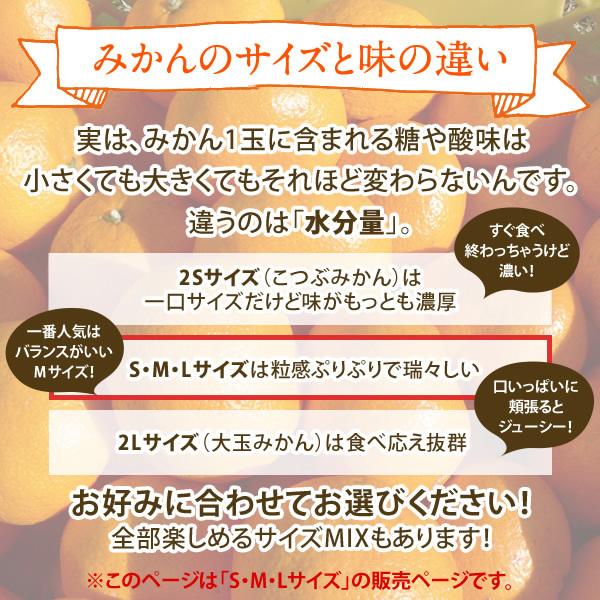 みかん 5kg (S M Lサイズ:早生)甘味と酸味が調和したみかん (出荷:11月下旬-1月)