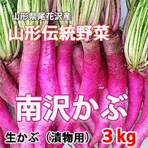 かぶら 送料無料 かぶ カブ 山形 伝統野菜 南沢カブ 次年子 蕪 尾花沢