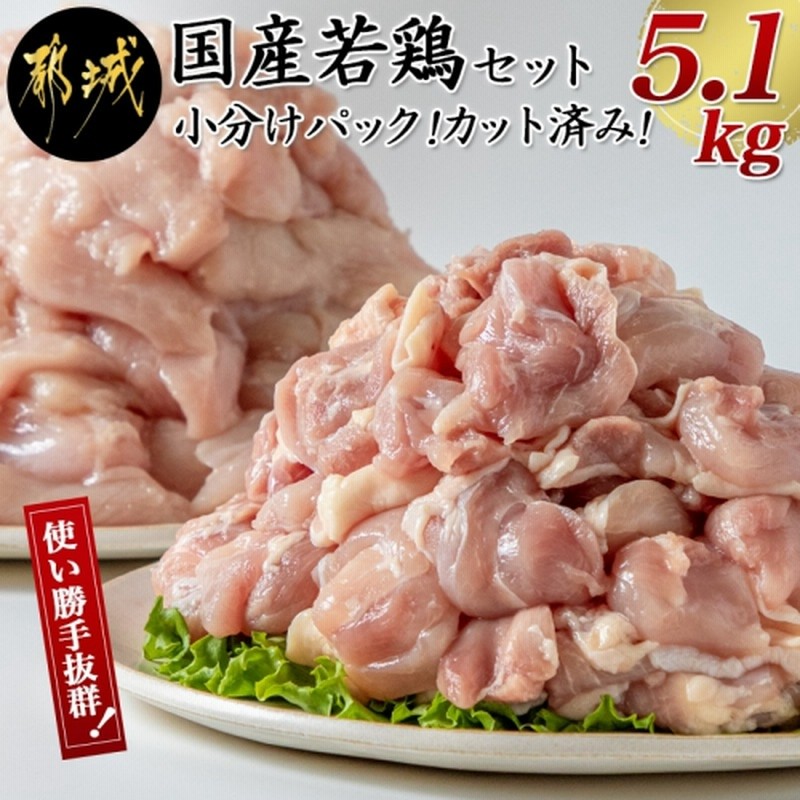 ふるさと納税 鶏塩こうじからあげとチキン南蛮セット_AA-4402 宮崎県都城市 【スーパーセール】 宮崎県都城市