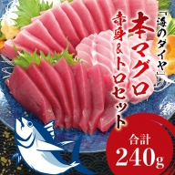 本マグロ（養殖）トロ＆赤身セット 240g 高級 クロマグロ 中トロ 中とろ まぐろ マグロ 鮪 刺身 赤身 柵 じゃばらまぐろ 本マグロ 本鮪