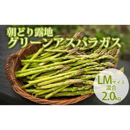 ふるさと納税 北海道 富良野市産 アスパラ 緑 (LMサイズ混合) 約2kg 朝どり 露地 グリーン アスパラガス 詰め合わせ 野菜 新鮮 数量限定 先着.. 北海道富良野市