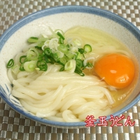 ふっくらモチモチ神埼生うどん 10袋入 (H014125)