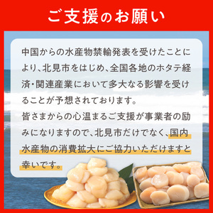 北海道オホーツク海産 ホタテ貝柱 800g 生食用 海鮮 魚介 魚介類 貝 貝類 帆立 ほたて お刺身 刺身 貝柱 海鮮丼 帆立貝柱 人気 ふるさと納税 ホタテ