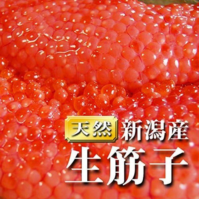 魚水島 新潟産 生筋子（生いくら）季節限定「ずっしり大粒 生すじこ」 1kg