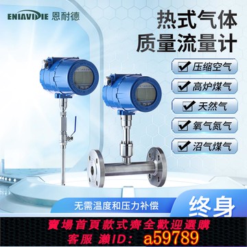 【全網低價 可打統編】恩耐德热式气体质量流量计氧气天然气烟气压缩空气蒸汽涡街流量表
