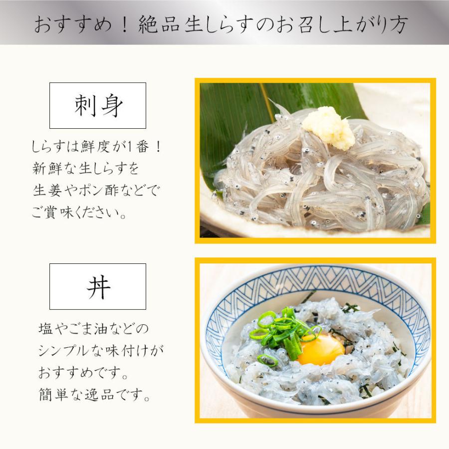 生しらす 国産 刺身 300g (100g×3) 兵庫県産 生食用 しらす 小分け 無添加 無着色