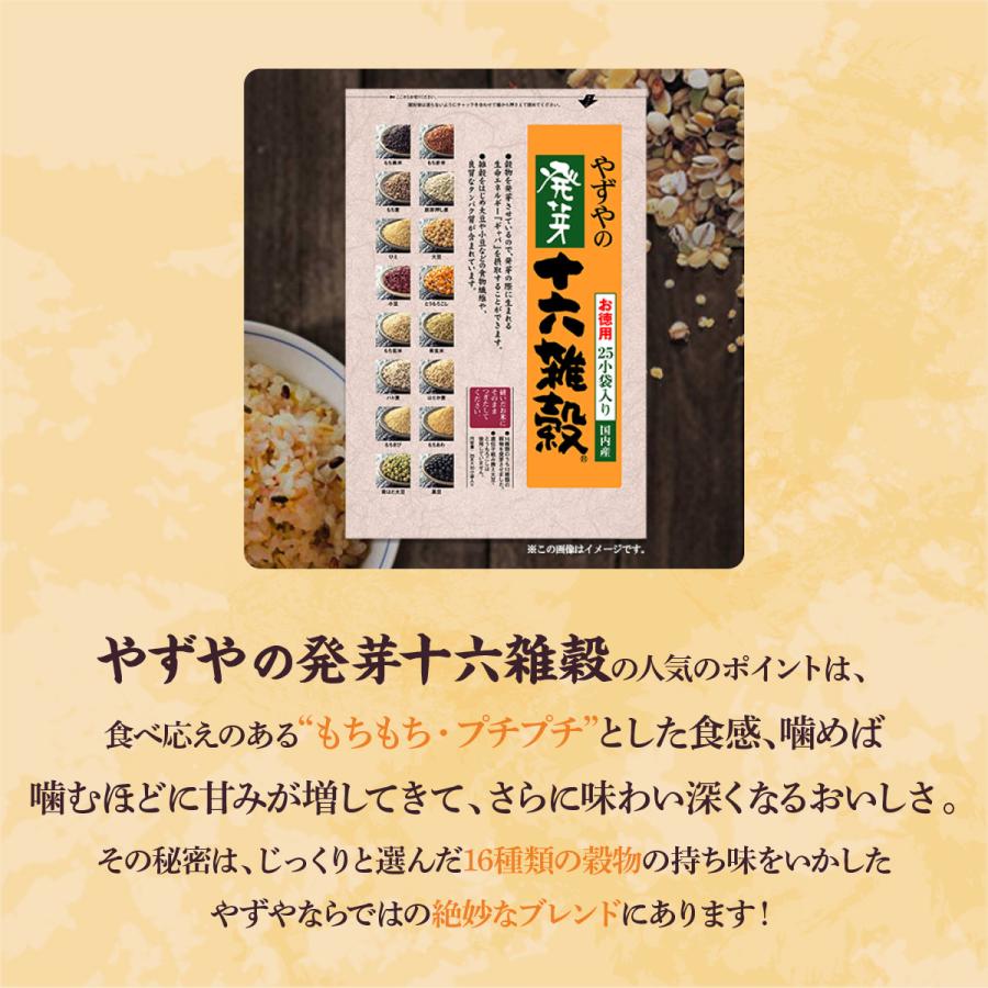 発芽十六雑穀 お徳用サイズ 雑穀米 白米に 混ぜて炊くだけ 雑穀 きび あわ ひえ 国産 混ぜるだけ 鉄分 タンパク質 健康食品