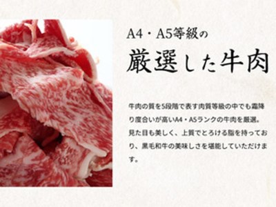 熊野牛 A4以上 霜降り 赤身 こま切れ 500g◇｜牛肉 厳選 高級 贅沢 黒毛和牛 すき焼き しゃぶしゃぶ 贈答用