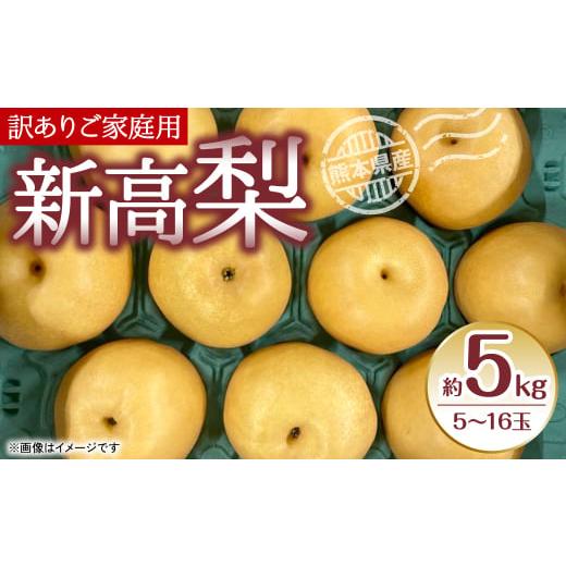 ふるさと納税 熊本県 八代市 新高梨 ご家庭用 約5kg (5〜16玉) 梨 なし 新高