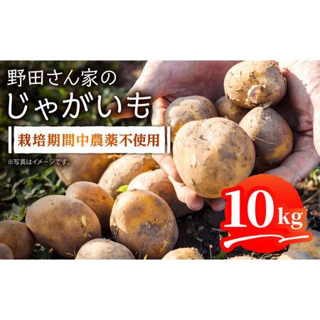 ふるさと納税  栽培期間中農薬不使用！野田さん家のじゃがいも（ニシユタカ)10kg じゃがいも ジャガイモ 東彼杵町 野田物産 [.. 長崎県東彼杵町