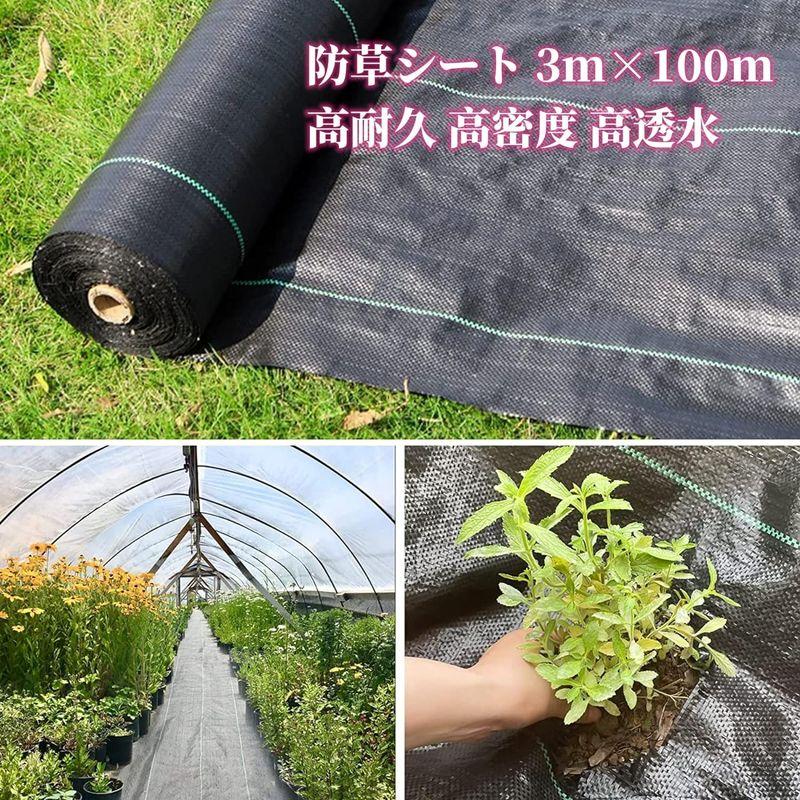 防草シート 3m×100m 草よけシート 農用シート 除草シート固定ピン防そうシート 厚手 高密度 高透水 高耐久 雑草対策 庭 通路 家庭