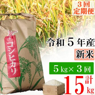 ふるさと納税 室戸市 室戸産新米コシヒカリ　5kg　米定期便　定期便3回