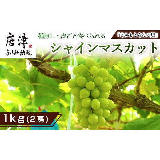 ふるさと納税 佐賀県 唐津市 『予約受付』シャインマスカット1kg 2房 葡萄 ぶどう 果物 フルーツ スイーツ