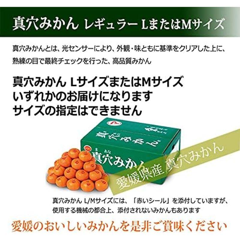 真穴みかん ５kg レギュラー ＬまたはＭサイズ いずれかをお届け 真穴共選