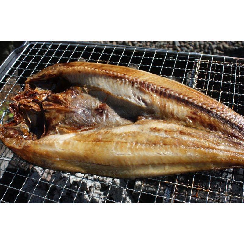 北海道産 ホッケ開き 一夜干し 1枚入 稚内加工 干物   ひもの   ほっけ   法華 魚