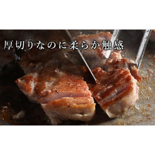 ふるさと納税 熊本県 錦町 訳あり 厚切り 牛タン 塩味 軟化加工 約1kg 牛たん 塩たん 牛 牛肉 肉 お肉 タン 冷凍 焼肉 配送不可：離島