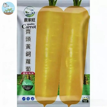 【原廠包裝】黃胡蘿蔔種子（Yellow Carrot）3克裝  生食甘甜 彩色蘿蔔 陽台盆栽蔬菜 親子農場 有機栽種