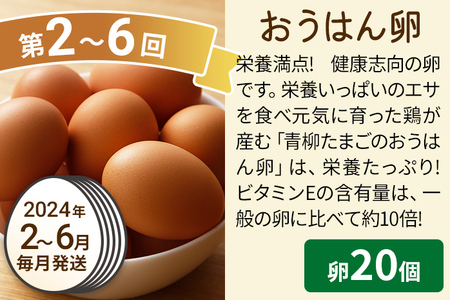 たまご前期定期便 6回発送（初回のみ醤油付き・たまご20個）20個×6回 合計120個 定期便 6ヶ月 卵 おうはん卵 青柳たまご 送料無料 