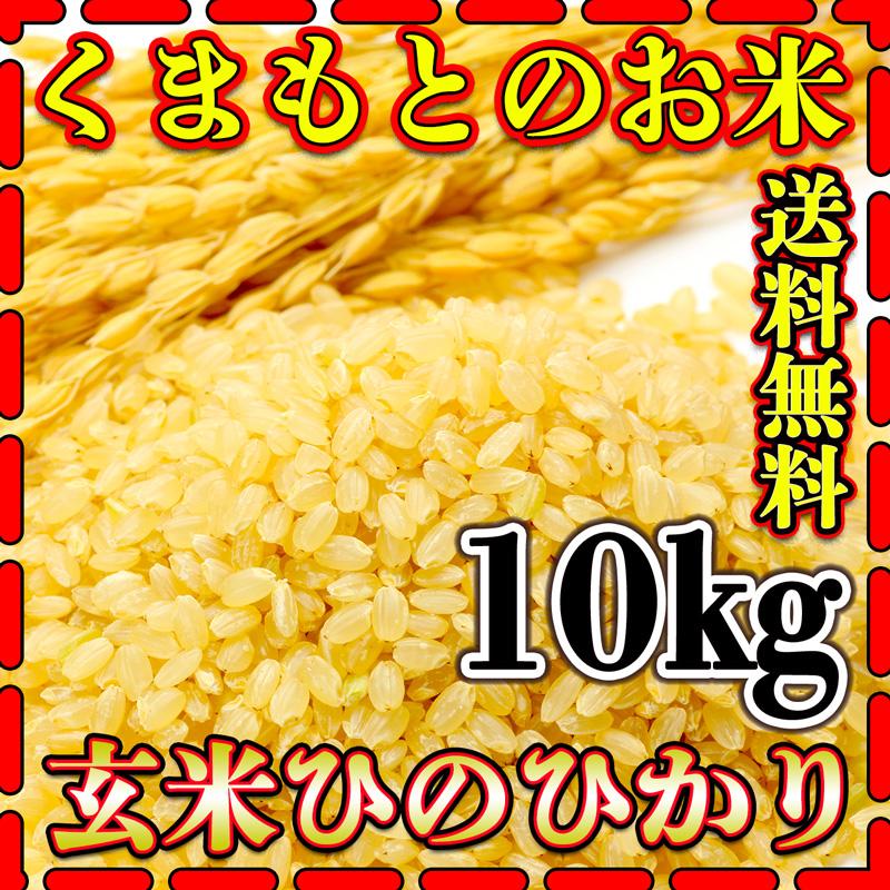 お米 米 10kg 玄米 送料無料 熊本県産 ひのひかり 新米 令和5年産 ヒノヒカリ あすつく 5kg2個 くまもとのお米 富田商店 とみた商店