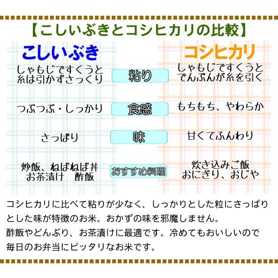 新米 令和5年産 米 お米 10kg こしいぶき 5kg×2 白米 新潟 送料無料 糸魚川 能生米 農家直送  精米