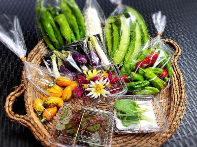 西洋野菜と季節の鹿児島野菜セット（2～3人ご家族用）