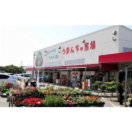 ふるさと納税 沖縄産の野菜・フルーツ詰め合わせ＜おまかせセット＞ 沖縄県糸満市