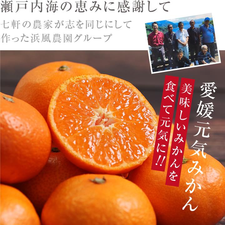 みかん 元気みかん 5kg 秀品 愛媛県産 S〜Lサイズ 浜風農園 数量限定 -S10J ミカン 小玉 大玉 甘い おいしい 旬の果物 産地直送 お歳暮 プレゼント 送料無料