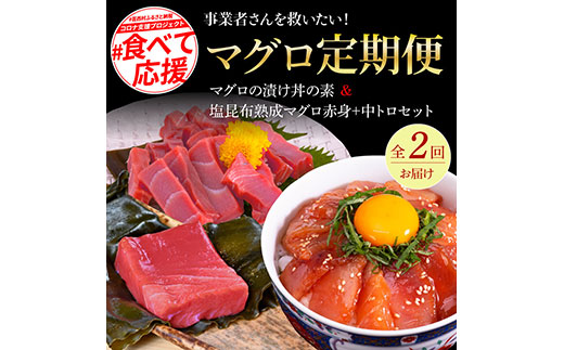 事業者さんを救いたいマグロ2ヶ月定期便／1回目：マグロの漬け丼、2回目：塩昆布14日間熟成マグロ赤身＆中トロセット