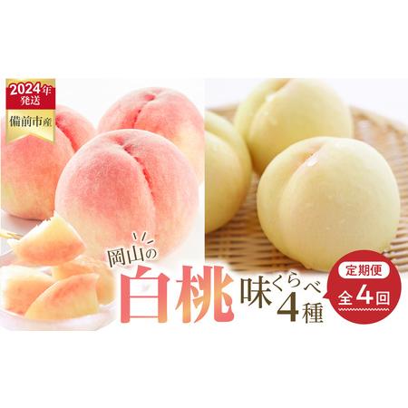 ふるさと納税 岡山県備前市産の白桃　味くらべセット　約2kg（7〜9玉入）×4回発送 岡山県備前市