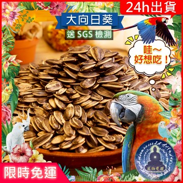 【寵物覺醒24h出貨】【SGS檢測】天然大向日葵瓜子飼料小寵鸚鵡兔子黃金鼠蜜袋鼯松鼠老鼠小鳥文鳥訓練倉鼠倉鼠黃金鼠三線鼠