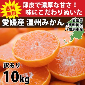 みかん 愛媛 訳あり 10kg 箱買い 八幡浜市 ブランド 産地直送 厳選 人気の品種 旬 甘い 濃厚 ご家庭用 2S～3Lサイズ 50～160玉前後入り