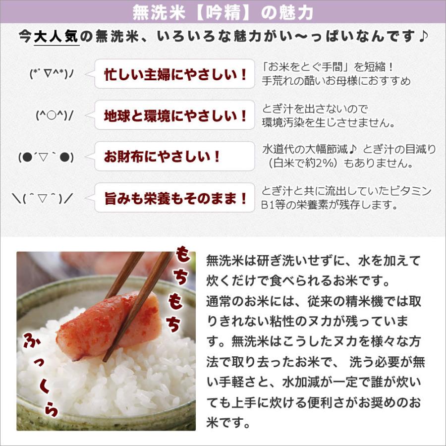 新米 無洗米 10kg 南魚沼産コシヒカリ 吟精 令和5年産 (2kg×5袋) 送料無料 (北海道、九州、沖縄除く)