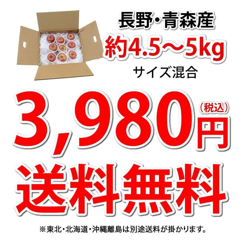 りんご 訳あり 約5kg（4.5〜5kg） リンゴ 送料無料 長野・青森県産 お取り寄せ サンふじ つがる ジョナゴールド ふじ 林檎 フルーツ