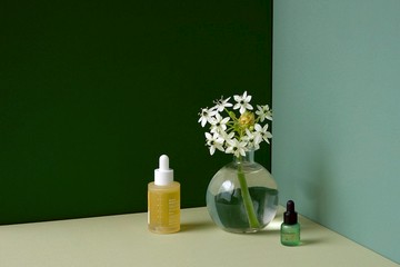 曦綠 - 拍照背景板