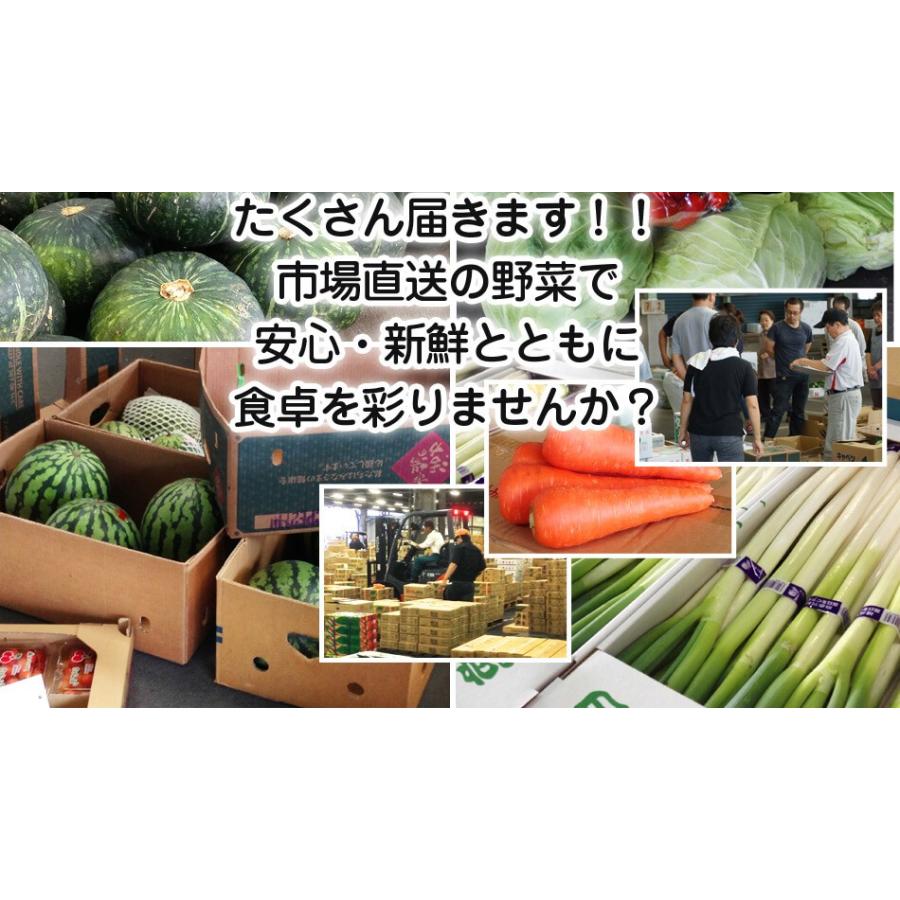 野菜セット 九州産 12品目 詰め合わせ 国産 お試し