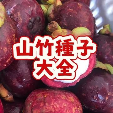 🌱🌱【山竹種子大全】 當季新籽 發芽率高 營養豐富 美味可口 新手易種植 陽台庭院盆栽 #自留種