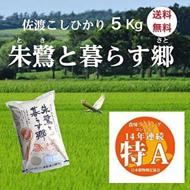 新米 精米 新潟県 佐渡産 コシヒカリ 朱鷺と暮らす郷 令和4年産 白米 米 コメ （5?×1袋）