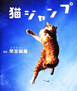  猫ジャンプ／間宮誠爾