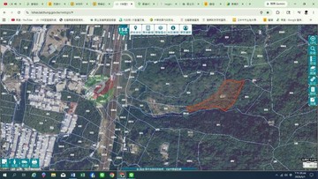 豐原稀有超低總價適種高經濟林地｜台中市豐原區鳳山段